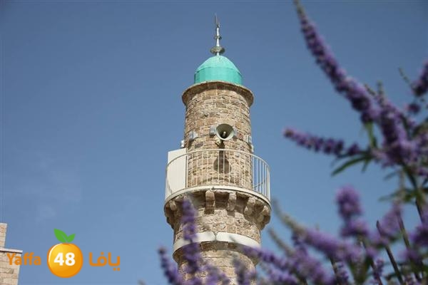 mo3askar 3mal 0603 (18).jpg